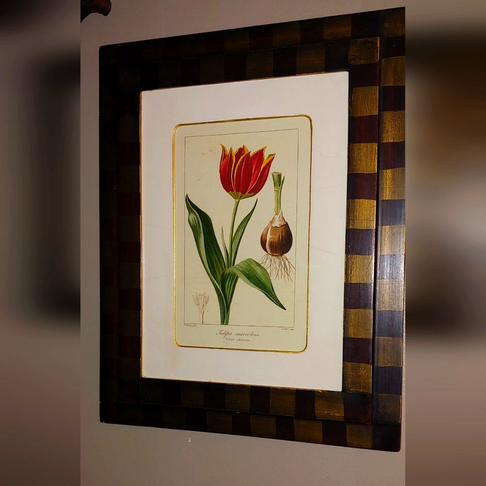 Framed Botanical Prints